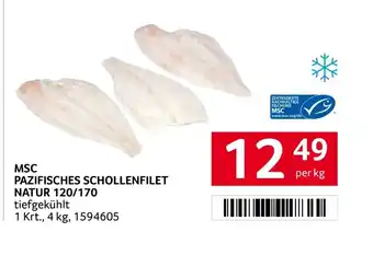 Transgourmet Msc pazifisches schollenfilet Angebot