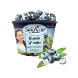 Billa SanLucar Heidelbeeren Angebot