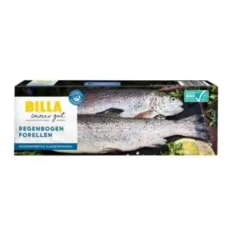 Billa Billa immer gut Regenbogenforellen Angebot