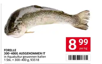 Transgourmet Forelle Angebot