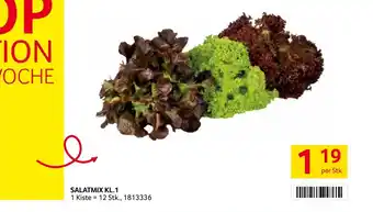 Transgourmet Salatmix Angebot