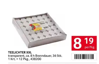 Transgourmet Teelichter xxl Angebot