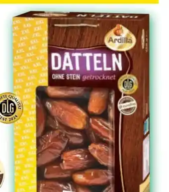 Norma Ardilla Datteln Angebot