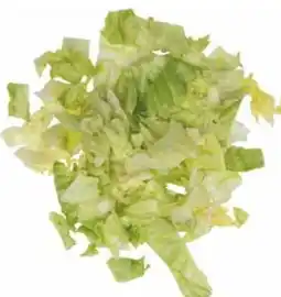 Transgourmet Quality Eisbergsalat Angebot