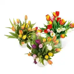 Hofer Tulpen-Bouquet HOFER Angebot