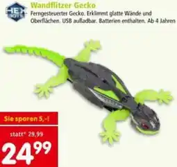 Interspar Wandflitzer Gecko Angebot