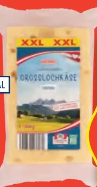 Hofer Milsani Grosslochkäse Angebot