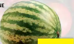 Hofer Hofer Marktplatz Wassermelonen Angebot