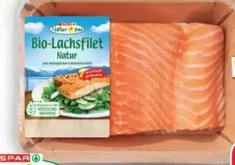 SPAR Gourmet Spar Natur pur Bio-Lachsfilet Angebot