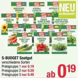 Maximarkt Saatgut Angebot