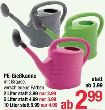 Maximarkt PE-Gießkanne Angebot