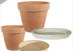 Eurospar Terracotta-Topf Angebot