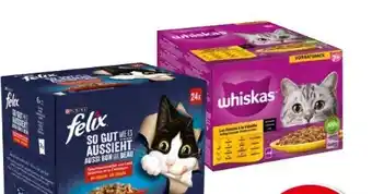 Interspar Purina Felix Katzennahrung Angebot