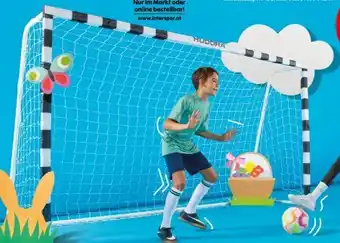 Interspar Hudora Fußballtor Stadion Angebot