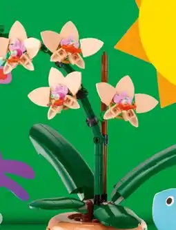 Interspar Lego Botanicals Blumenstock Orchidee 10343 Angebot