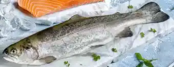 Interspar Fisch Aus Aquakultur Angebot