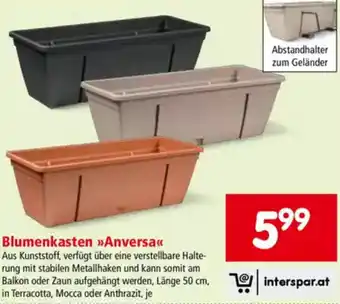 Interspar Blumenkasten Anversa Angebot