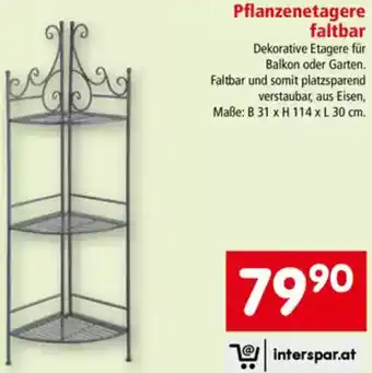 Interspar Pflanzenetagere faltbar Angebot