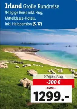 Lidl Reisen Irland Angebot