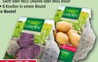 Norma Finest Garden Pflanzkartoffel Raritäten Angebot