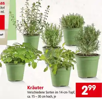 Interspar Kräuter Angebot