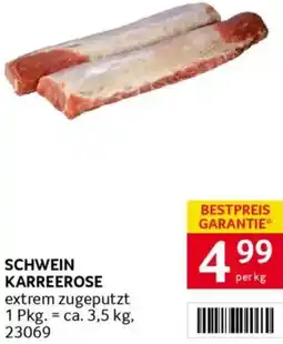 Transgourmet Karreerose Angebot