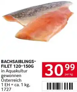 Transgourmet Bachsaiblings- filet Angebot