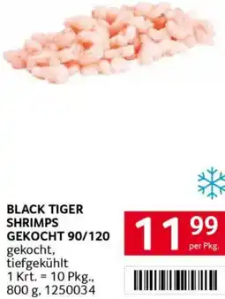 Transgourmet Shrimps gekocht Angebot