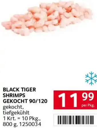 Transgourmet Shrimps gekocht Angebot