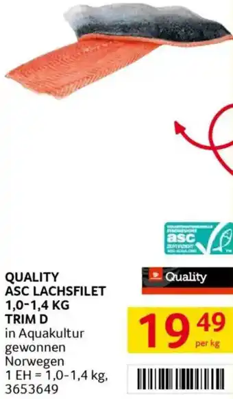 Transgourmet Asc lachsfilet Angebot