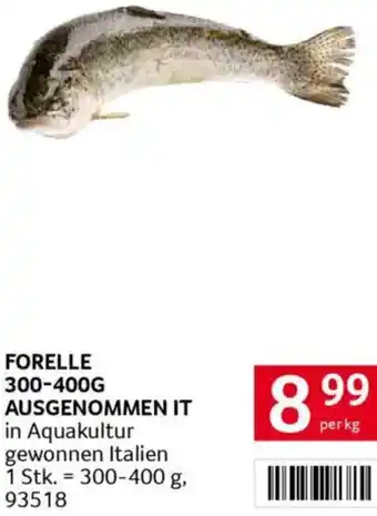 Transgourmet FORELLE Angebot