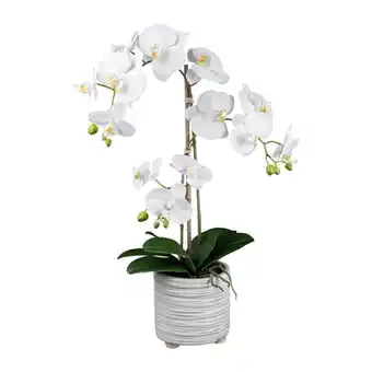 Möbelix Kunstpflanze Orchideen Weiß, Topf: Weiß, H: 58 cm Angebot