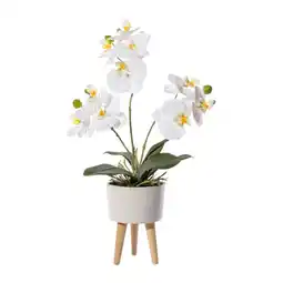 Möbelix Kunstpflanze Orchideen Creme/Grün/Weiß, 42 cm Angebot