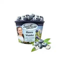 Billa fruchtig-süße Heidelbeeren-Bowl Sekoya BILLA Angebot