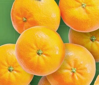 Lidl Clementinen Angebot