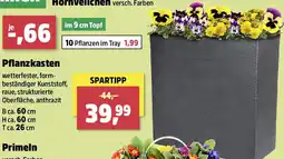 Thomas Philipps Pflanzkasten Angebot