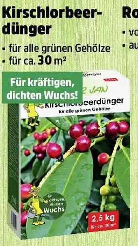 Thomas Philipps Kirschlorbeer- dünger Angebot