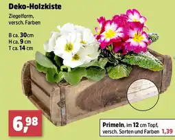 Thomas Philipps Deko-Holzkiste Angebot