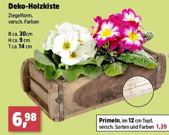 Thomas Philipps Deko-Holzkiste Angebot