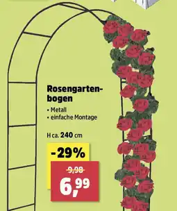 Thomas Philipps Rosengarten- bogen Angebot