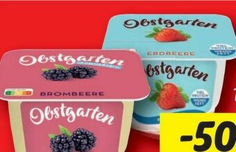 Lidl Obstgarten Angebot