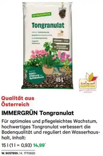 Lagerhaus IMMERGRÜN Tongranulat Angebot