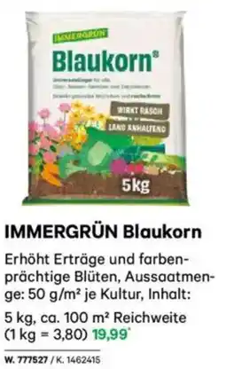 Lagerhaus IMMERGRÜN Blaukorn Angebot