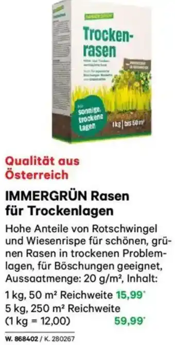 Lagerhaus IMMERGRÜN Rasen für Trockenlagen Angebot