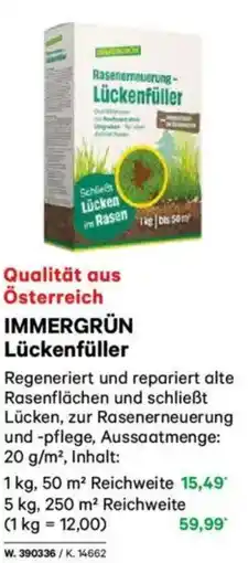 Lagerhaus IMMERGRÜN Lückenfüller Angebot