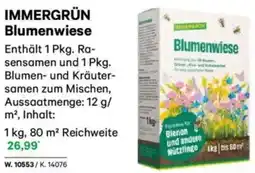 Lagerhaus IMMERGRÜN Blumenwiese Angebot