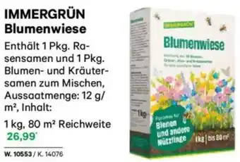 Lagerhaus IMMERGRÜN Blumenwiese Angebot