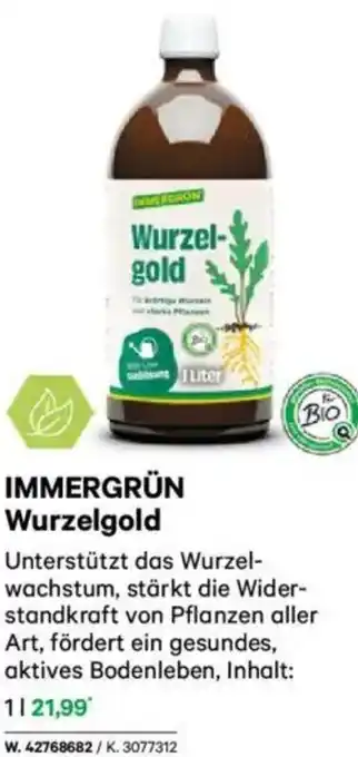 Lagerhaus IMMERGRÜN Wurzelgold Angebot