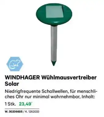 Lagerhaus WINDHAGER Wühlmausvertreiber Solar Angebot