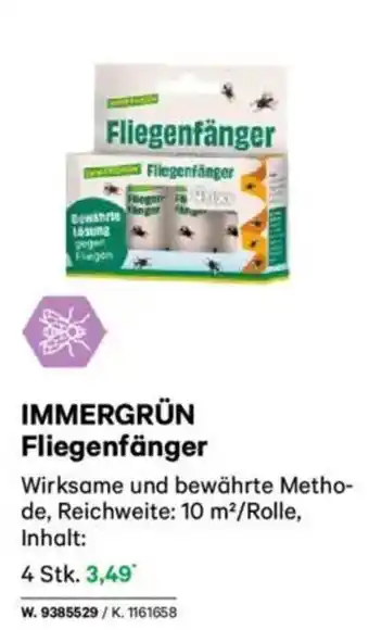 Lagerhaus IMMERGRÜN Fliegenfänger Angebot